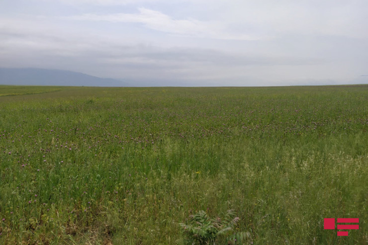 Sabahın  HAVA PROQNOZU 