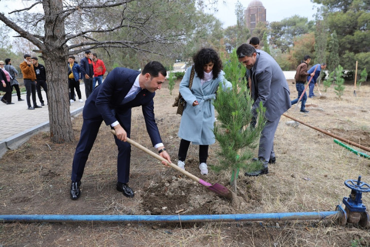 Birbank istifadəçilərinin dəstəyi ilə Gəncədə ağacəkmə aksiyası keçirildi -  FOTO 