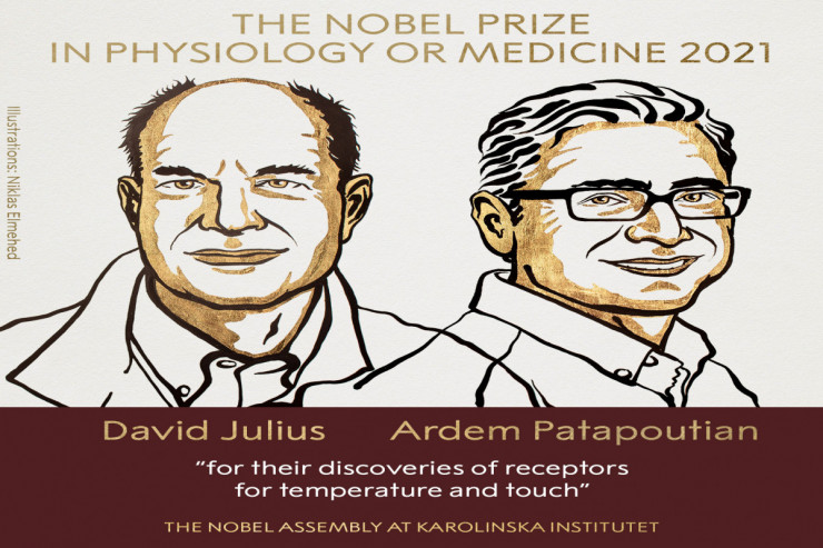 David Julius və Ardem Patapoutyan