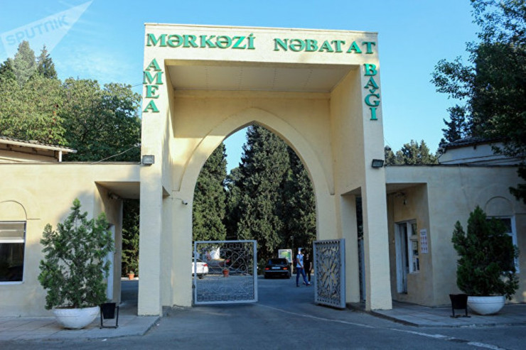 Mərkəzi Nəbatat Bağında qanunsuz evlər tikilib