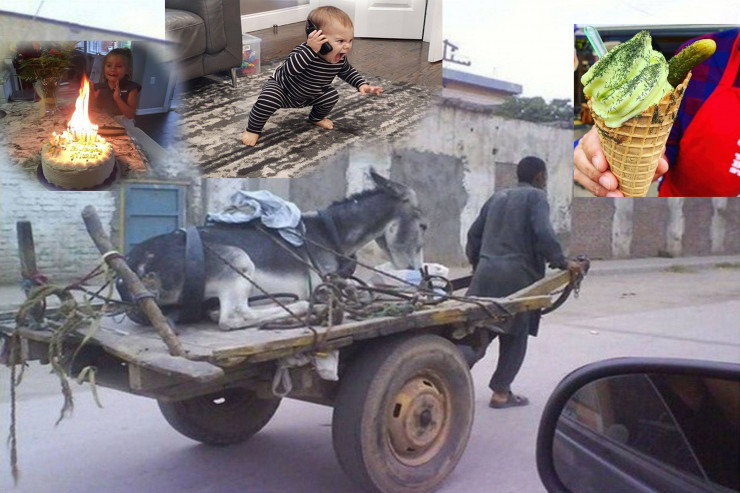 Şənbə GÜLÜŞLƏRİ - FOTOLENT 