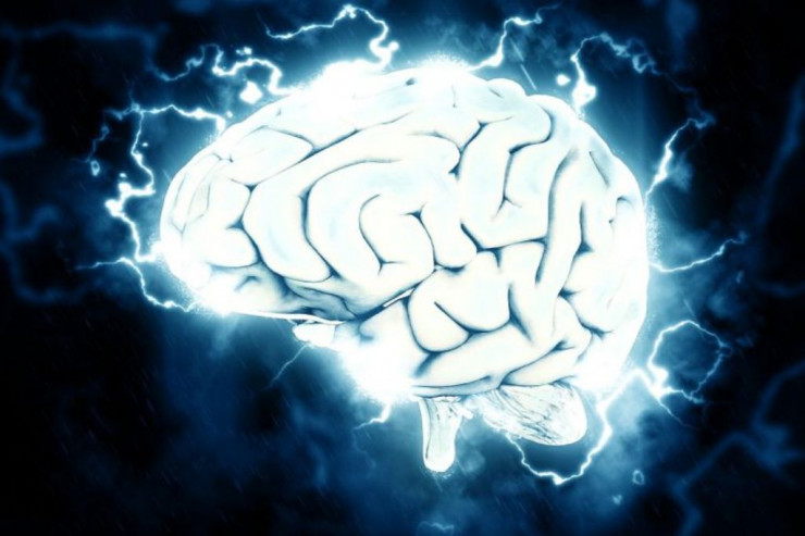 Müasir insanın beyni niyə kiçilib? –  SƏBƏBLƏRİ