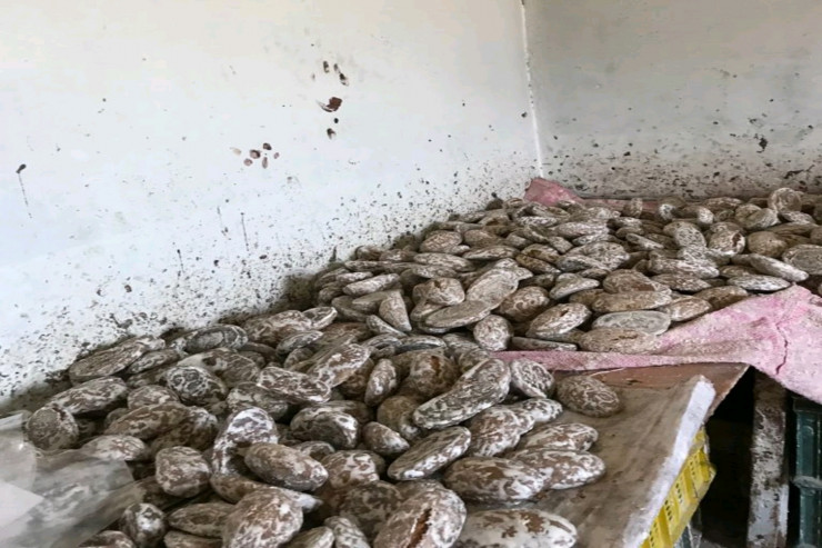 "Bakı pryaniki"ndə YOXLAMA : Kiflənmiş məhsullar ... - FOTO 