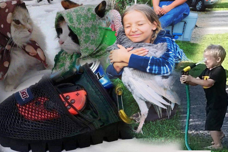 Bir az da GÜLƏK... - FOTOLENT 