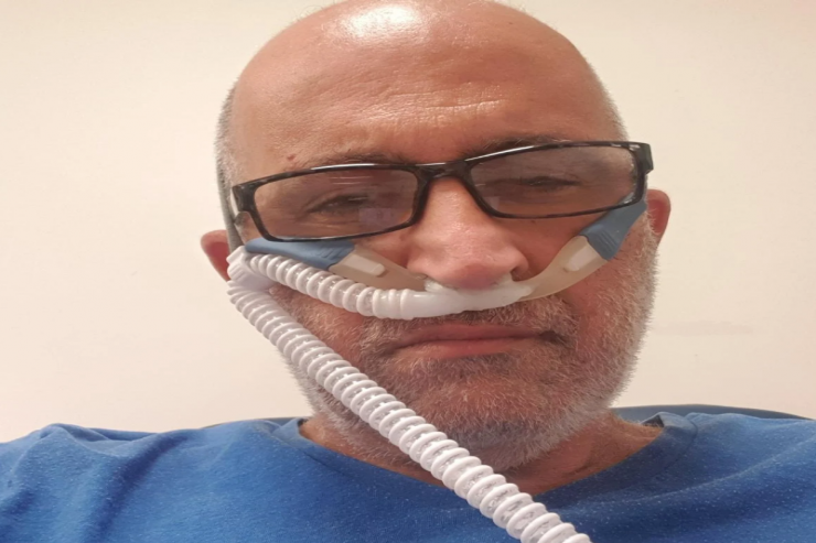Hay Şaulyan