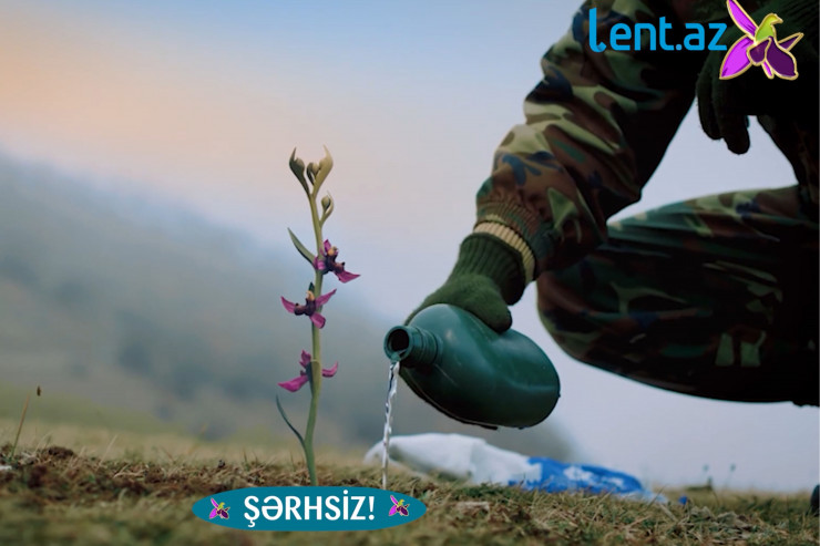Anım Günü