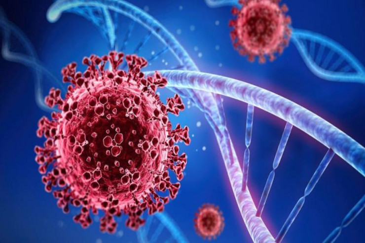 Epidemik alovlanma, yeni ştamm... - Baş infeksionist AÇIQLADI 