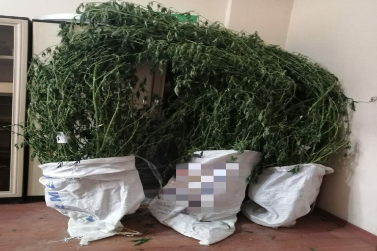 Evindən külli miqdarda narkotik çıxdı - FOTO 