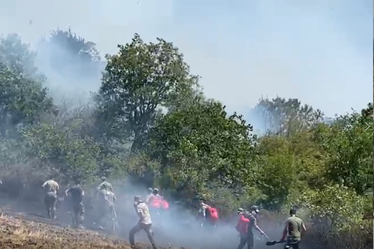 Dünyada "yanğın mövsümü": Azərbaycanda vəziyyət necədir? - FOTO  - VİDEO 