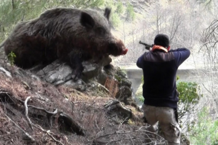 Ova getdi:  Görün kimi vurdu?  