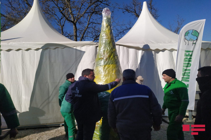 Laçın-Xankəndi yolunda "yolka"  quruldu - FOTO 