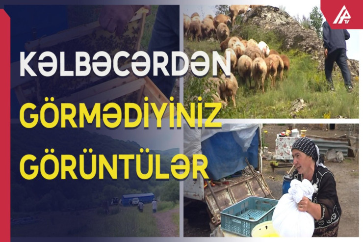 Kəlbəcər yaylaqlarından YENİ VİDEO 