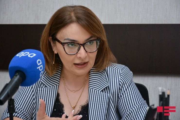 Pul qazanmaq istəyənlərə Tik-Tok, əyləncə axtaranlara gecə barları cəlbedicidir - Mehriban Ələkbərzadə 