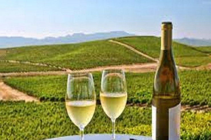 İsti havada hansı  spirtli içki içmək   daha yaxşıdır?