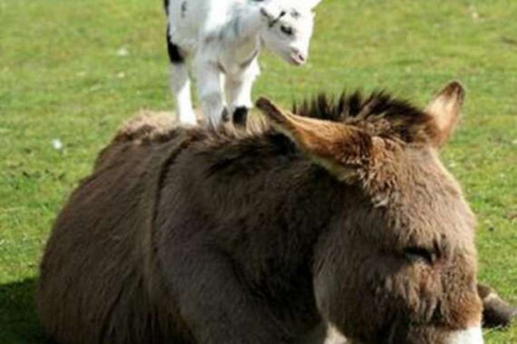 Ukraynadakı müharibədən sağ çıxanlar -  FOTO 