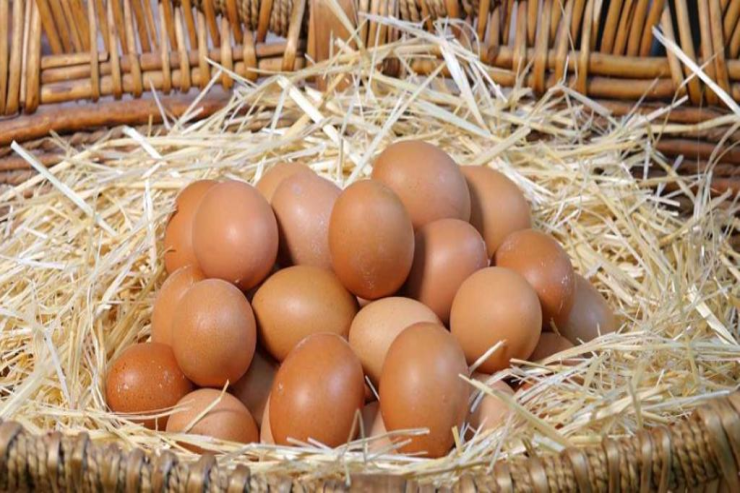 Yuxuda  yumurta görmək   nə vəd edir?