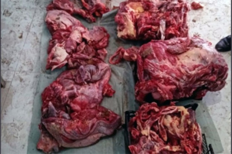 Gəncədə 150 kilodan çox  leş əti   aşkarlandı