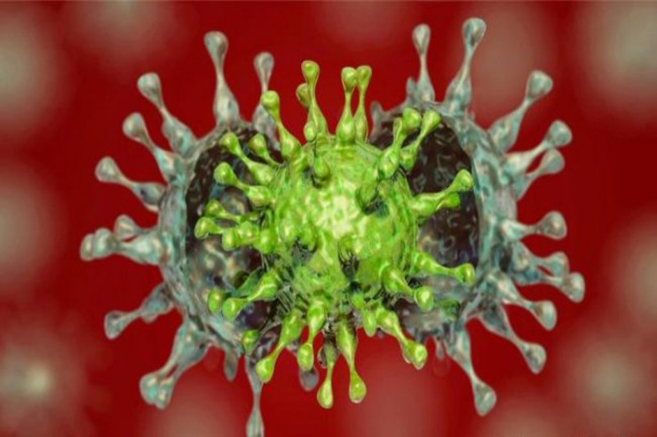 Koronavirusa yoluxma 30-dan aşağı düşdü -  SON STATİSTİKA 
