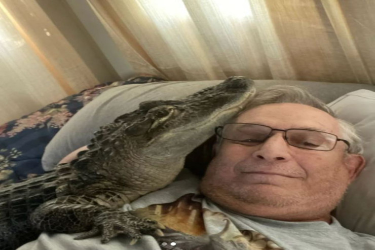 “Cangüdən” timsah