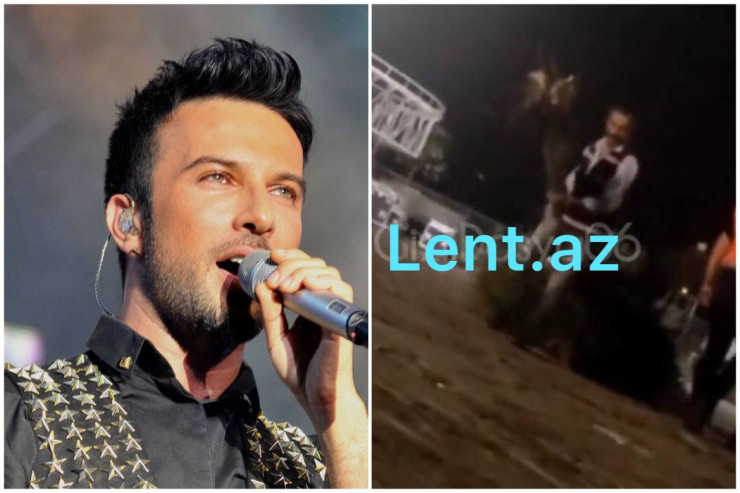 Tarkan üçün ağacları  KƏSDİLƏR   - FOTO 