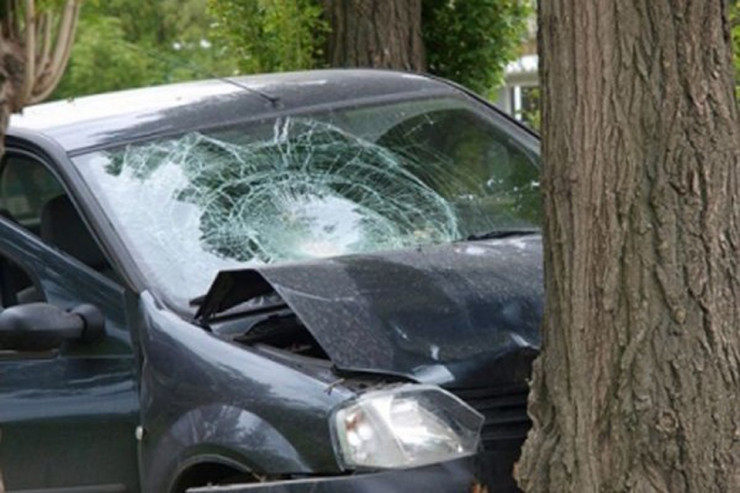 Kənddə "Mercedes"i ağaca çırpdı:  Ölən var 