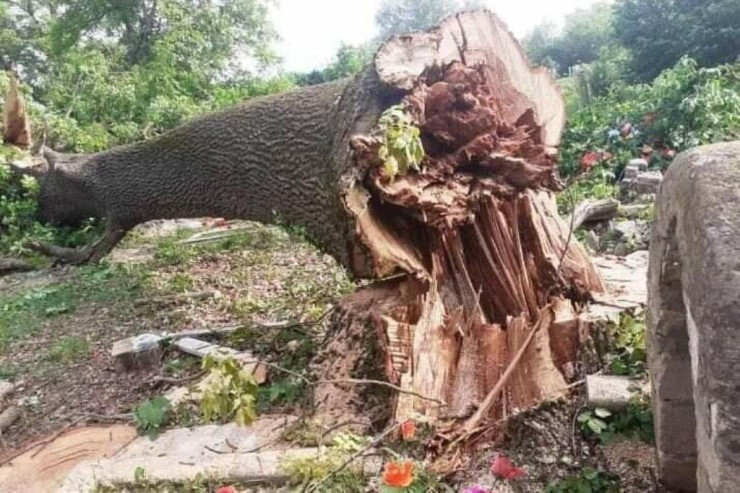 10 min manatlıq qanunsuzluq -  İŞ PROKURORLUQDA 