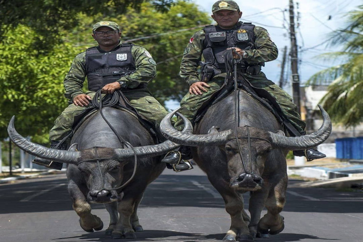 Bu ərazidə polisin nəqliyyatı kəldir- MARAQLI SƏBƏB 
