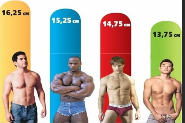 Nəhayət, məlum oldu: Hansı cinsi orqan  kiçik, hansı böyük   hesab edilir