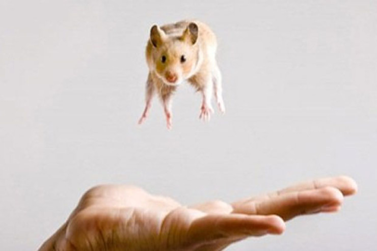 Ərini öldürməkdə ittiham edilən qadın: “Uşaq olan evə siçan zəhəri gətirmərəm” 