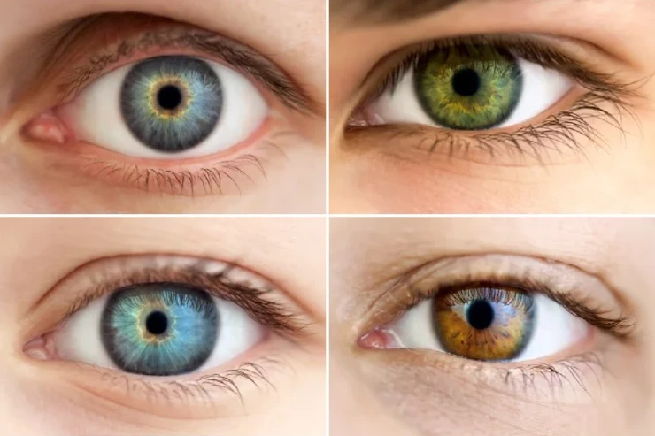 Göz bəbəyinin SİRLƏRİ: niyə tam qara ola bilməz?  