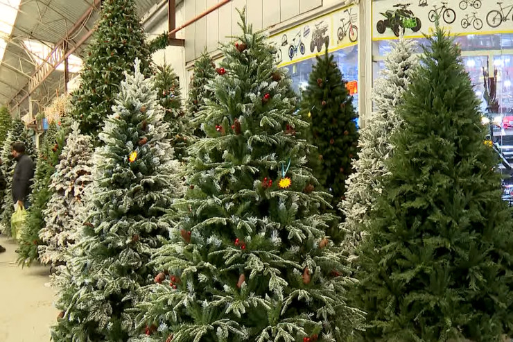 Yeni İl ağacının bilinməyən TƏHLÜKƏLƏRİ 