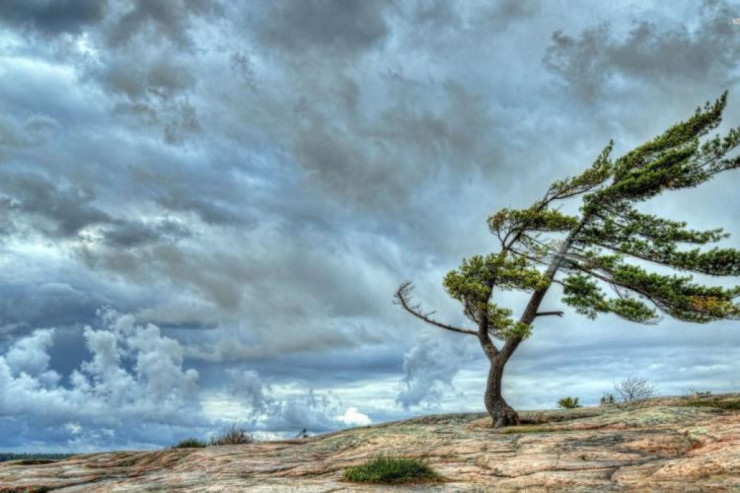 Hündür ağacların altında dayanmayın - Güclü küləklə bağlı xəbərdarlıq 