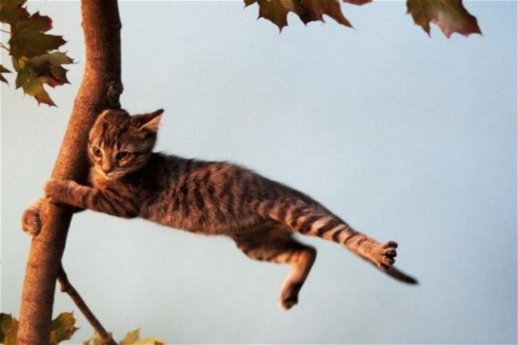 Güclü külək gün ərzində davam edəcək - XƏBƏRDARLIQ 