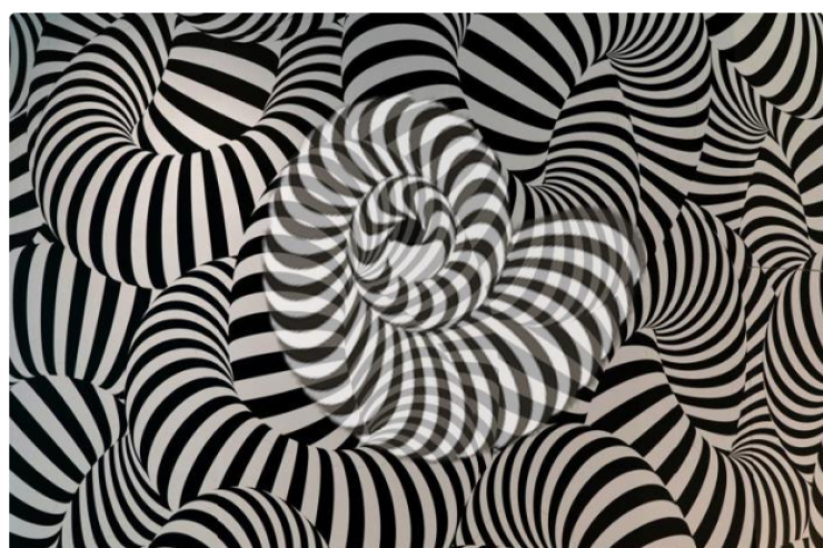 Şəkildə ilk hansı  heyvanı   gördünüz? –  Sevgi testi 