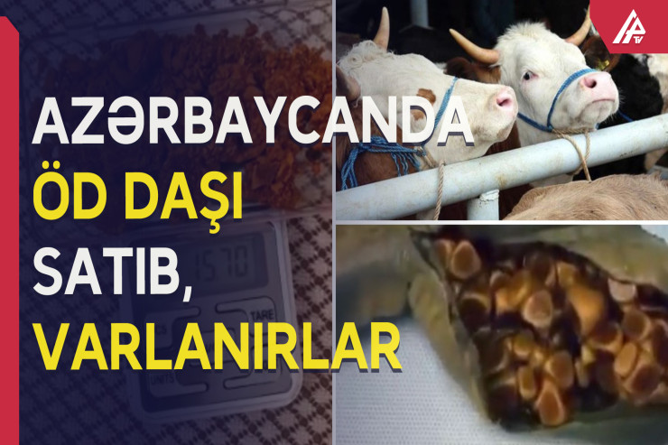 Qramı 25 manata öd daşı - Gizli biznes -VİDEO