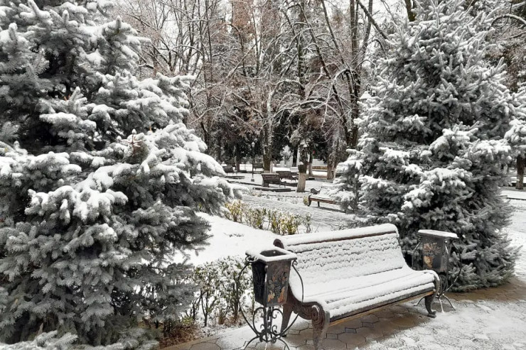 Zaqatala, Şəki və Balakənə qar yağır - FAKTİKİ HAVA 