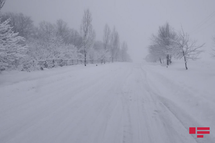 Sabah qar yağacaq  - PROQNOZ