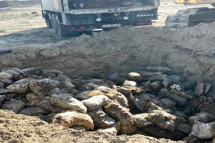 İrandan və Rusiyadan gətirilən kartofda  zərərli orqanizmlər   AŞKARLANDI