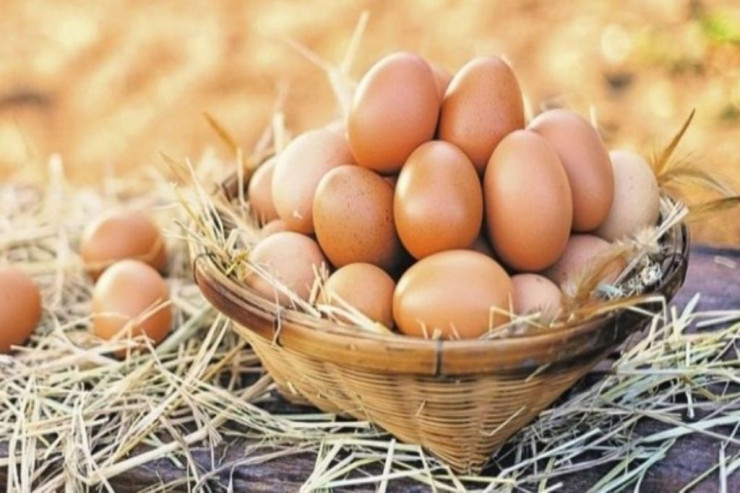 Bu ölkədə yumurtanın qiyməti rekord həddə  çatdı