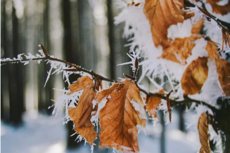 Sabah  10 dərəcə şaxta   olacaq - HAVA PROQNOZU