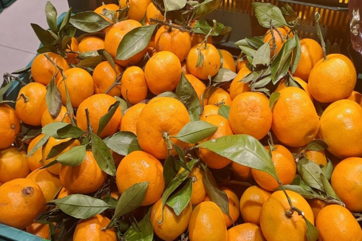 Naringinin  bu insanlar üçün təhlükəsi   barədə XƏBƏRDARLIQ