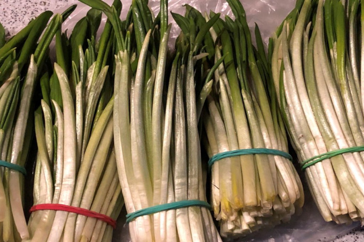 Min bir dərdin dərmanı olan  "ayı soğan"ın FAYDALARI:  Təzyiq, yaddaş..