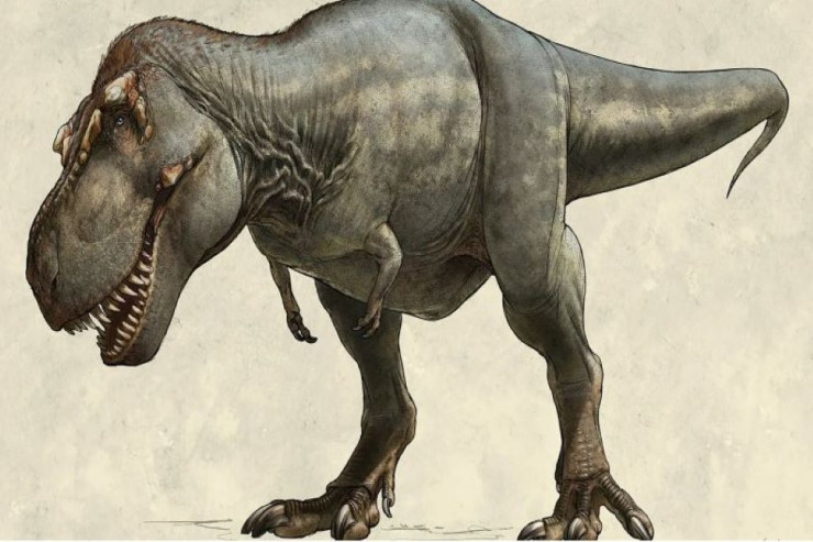 Bu da tarixdəki ən böyük dinozavr - 15 METR 