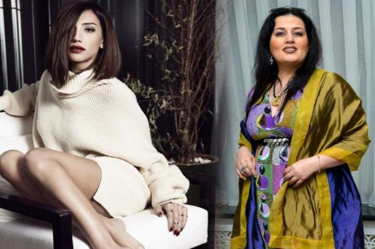 Röya Elzanın şeirlərindən DANIŞDI: "Kimsə narahat olursa,  aspirin içsin" 