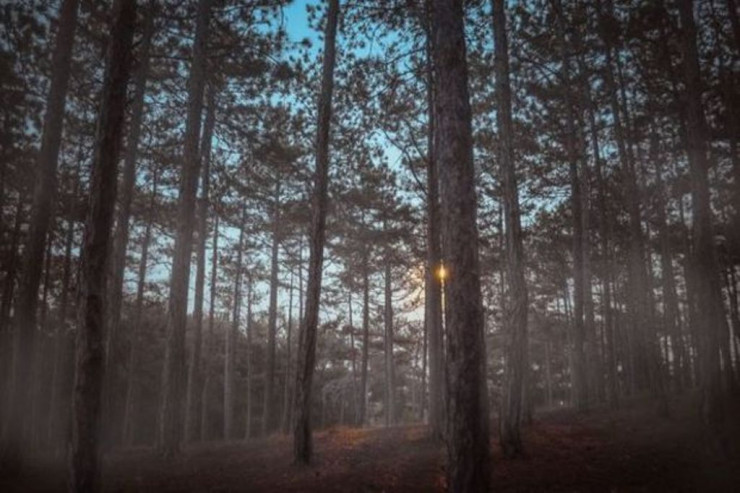 Bakıda "Şamlıq"da QAN TÖKÜLDÜ 