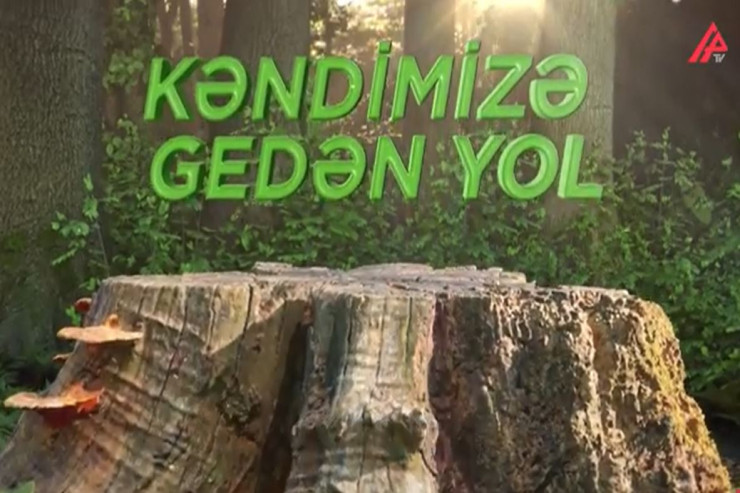 APA TV-nin “Kəndimizə gedən yol” adlı mobil film müsabiqəsinin müddəti uzadıldı - VİDEO 