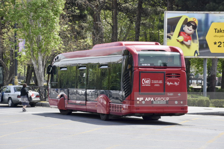 Bakıda 203 avtobus gecikir