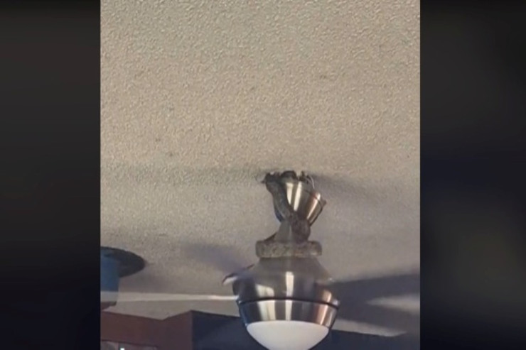 "Ventilyator" ilanı fırladıb kişinin başına atdı - Görənlər ŞOKA düşdü VİDEO 