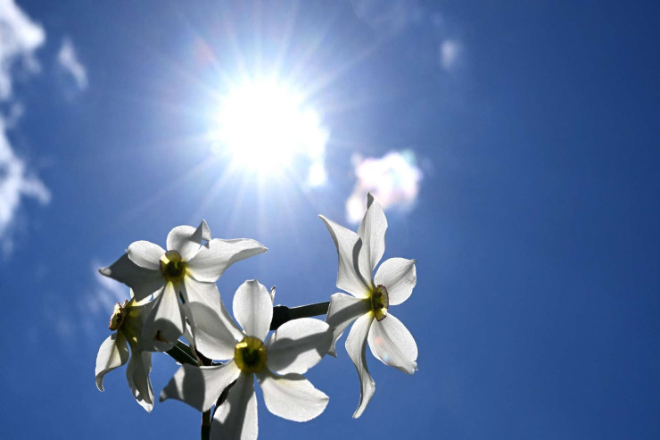 Yay fəsli Azərbaycana bu tarixdə daxil olacaq 