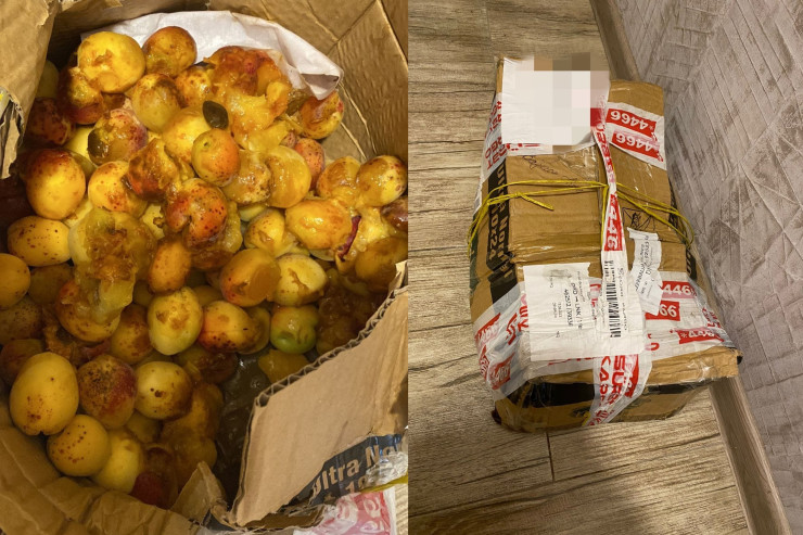 Karqo şirkətində BİABIRÇILIQ:  Jurnalistin məhsulunu zay etdilər